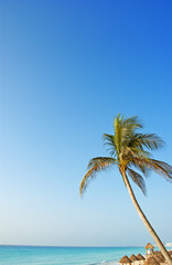 the beach in the caribbean