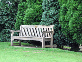 Garden Bench