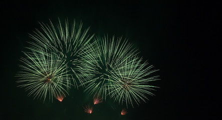 fireworks in green