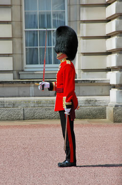 Fototapeta Queen Soldier