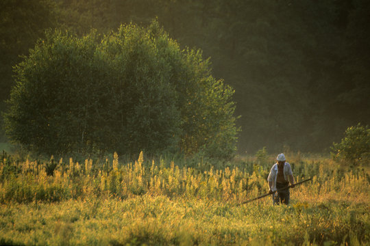 Harvester