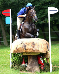 Jumping Mushroom Obstacle2