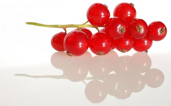 groseille 2