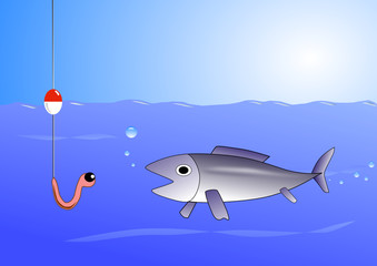 fish taking the bait