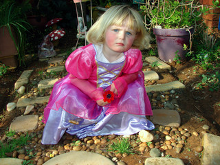 Pretty fairy