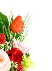 close up, flower of pink rose