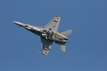 F/A-18 Hornet Aeronautica Militare Svizzera