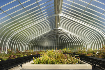 The glasshouse