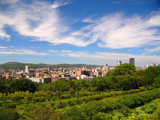 Fototapeta na wymiar Pretoria -view from Union Building gardens