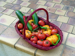L&eacute;gumes du jardin