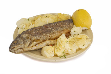 Fish (with path)