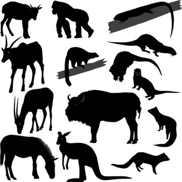 Some vector silhouettes of different animals