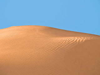 Fototapeta na wymiar Desrt sand dune