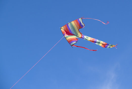 Kite