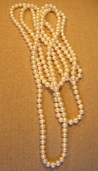 White pearl necklace