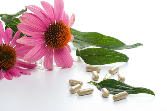 Echinacea Capsules