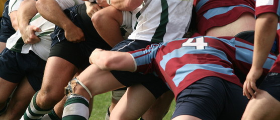 Fototapeta premium rugby