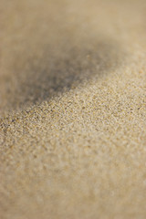sand line