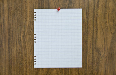 Blank sheet of paper on notice-board