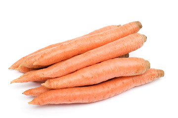 carrot