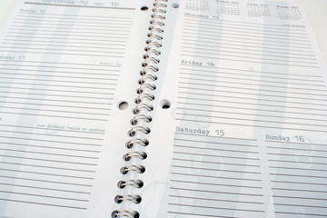 Obraz premium Dayplanner