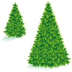 Christmas tree of two sizes