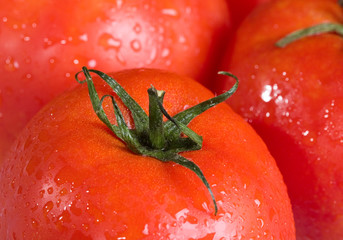 group of red tomatoes in water drops