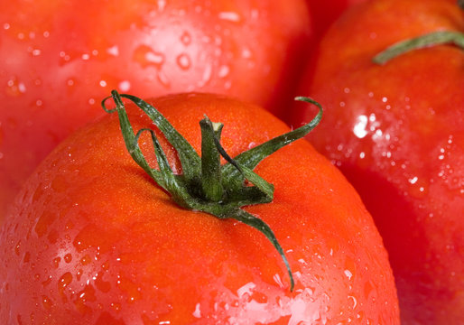 group of red tomatoes in water drops