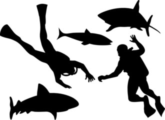 Obraz premium Scuba diver and shark silhouette