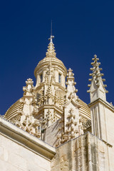 Segovia Cathedral Closeup
