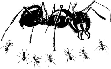 famille de fourmi - 4356593