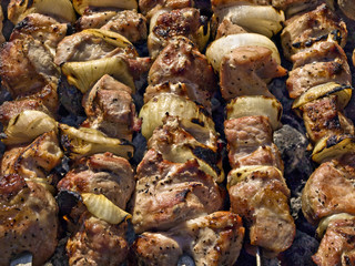 Shishkebab