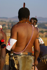 Reed Dance in Swaziland - headman in traditional costume - obrazy, fototapety, plakaty