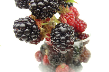blackberry
