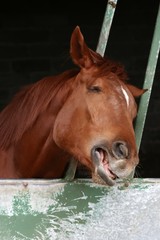 Obraz premium Oooh! Not another Monday