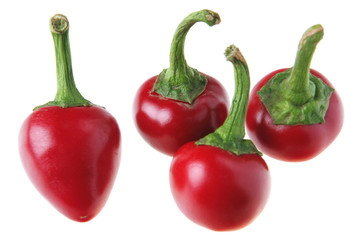 Chili pepper