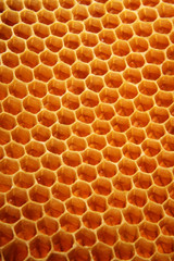 Honeycomb background