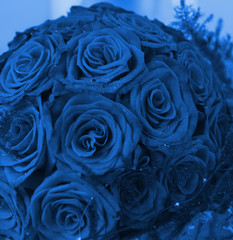 Bunch of red roses (toned in blue)