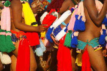Reed Dance in Swaziland - young girls dancing for their king - obrazy, fototapety, plakaty
