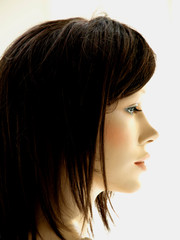profile