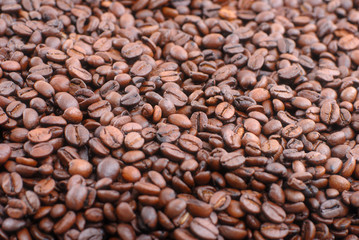Coffee Beans