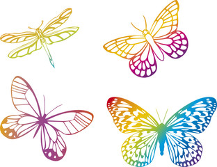 Fototapeta na wymiar colorful butterflies