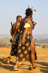 Suazi man in traditional attire during Reed Dance 2007 - obrazy, fototapety, plakaty