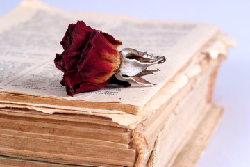 Old book and old red rose