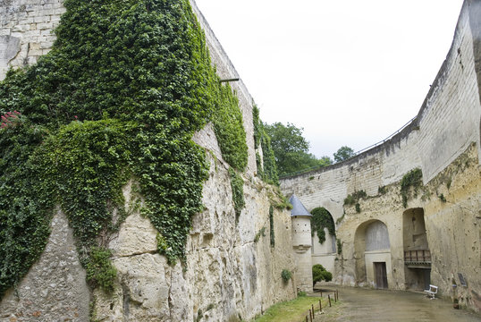Bottom of Chateau Brézé moat