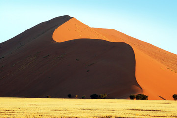 Fototapeta na wymiar Red dune in Namib Desert