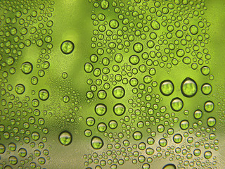 Rain drops on green, texture background
