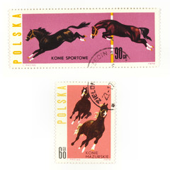 Horses on collectible stamps