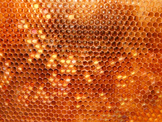 honeycomb