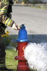 Fototapeta premium FIREPLUG